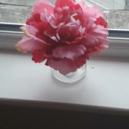 Beautiful Guest house Dublin
